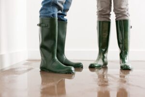 Key home insurance trends homeowners should know